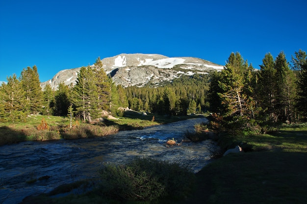 Park Narodowy Yosemite w Kalifornii