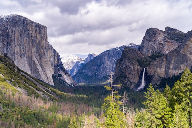 Park Narodowy Yosemite