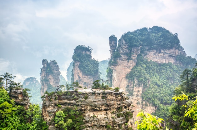 Park Narodowy Zhangjiajie. Sławna atrakcja turystyczna w Wulingyuan, Hunan, Chiny. Niesamowity naturalny krajobraz z kamiennymi filarami kwarcowymi górami we mgle i chmurach