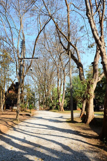 Zdjęcie park ogrodowy na zewnątrz i chodnik dla thajskich podróżnych ludzie podróż podróż wizyta w baandam muzeum drewniany budynek lub starożytny drewnianny czarny dom baan dam galeria w mieście chiangrai w chiang rai tajlandia