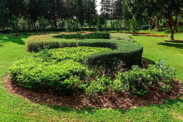 Park projektowania krajobrazu w Tajlandii