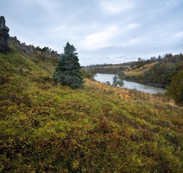 Zdjęcie park publiczny na wyspie hrutey w pobliżu miasta blonduos na północny zachód od islandii widok podczas podróży samochodem obwodnicą spektakularny islandzki krajobraz z malowniczą jesienną przyrodą i rzeką blanda z kataraktą