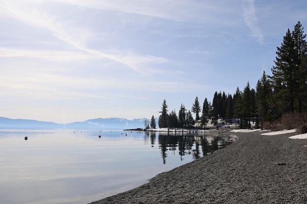 Park stanowy nad jeziorem tahoe Sugar Pine