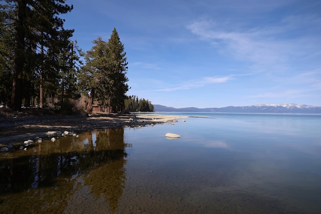 Park stanowy nad jeziorem tahoe Sugar Pine