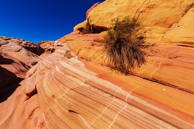 Park Stanowy Valley of Fire, Nevada, USA