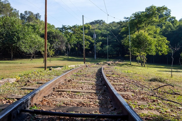 Park Taquaral w Campinas, So Paulo. Tor kolejowy biegnący przez park miejski
