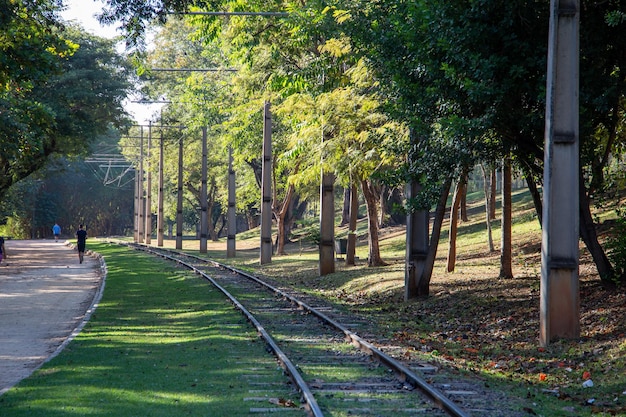 Park Taquaral w Campinas, So Paulo. Tor kolejowy biegnący przez park miejski