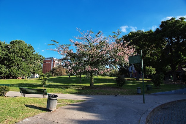 Park w Buenos Aires, Argentyna