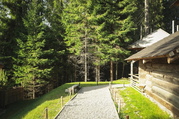 Park w górskim kurorcie w sezonie jesiennym w słoneczny dzień