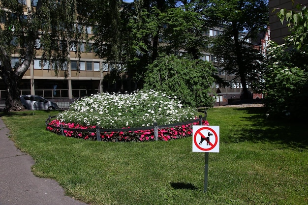 Park w Helsinkach Finlandia