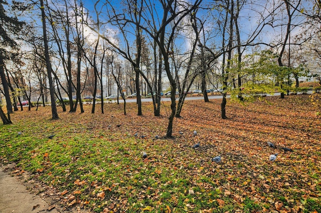 Park w Kłodzku w Polsce