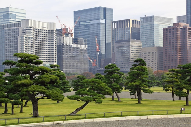 Park w pobliżu pałacu cesarskiego Tokio Japonia