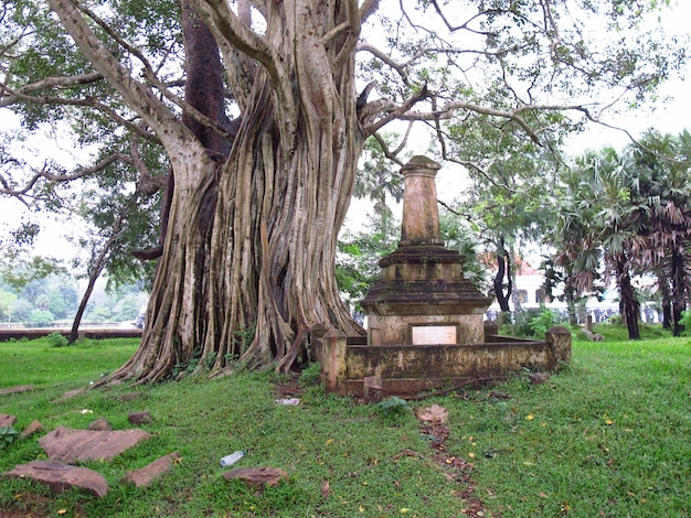 Park W Rejonie Anuradhapura, Sri Lanka