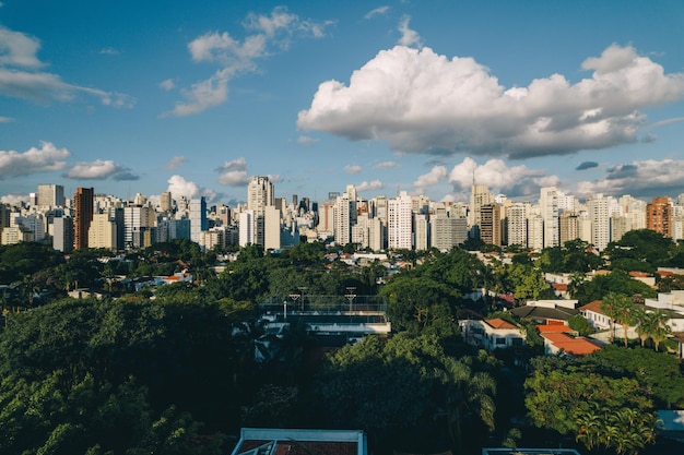 Park w Sao Paulo Zdjęcie wysokiej jakości