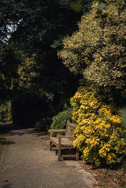 Zdjęcie park wzgórza golders w londynie