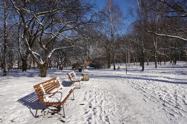 Park zimą w ciągu dnia