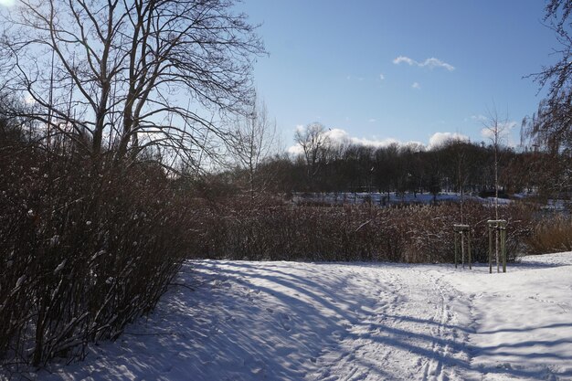 Park zimą w ciągu dnia