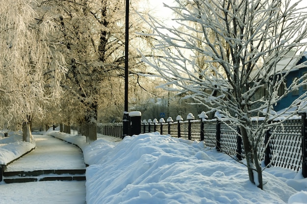 Park zimowy pokryty ogrodzeniem