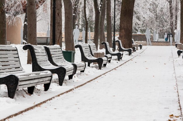 Park zimowy pokryty śniegiem i szronem