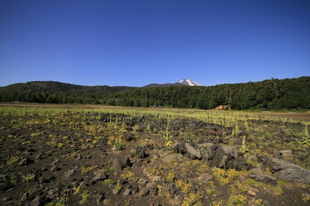 Parque Nacional Conguillo Chile