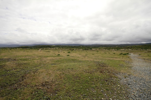 Parque Nacional de chiloe