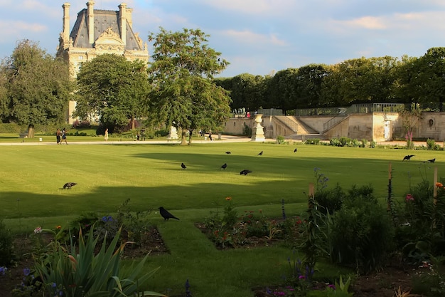 Paryż Francja 26 sierpnia 2019 Jardin des Tuileries lub Ogród Tuileries Paryż Francja