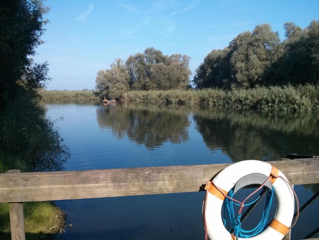 Pas ratunkowy na moście nad rzeką pośród drzew