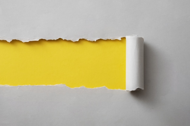 Pasek szarej karty podarty i zwinięty, aby odsłonić kolorowe żółte tło papieru z miejscem na kopię do wykorzystania jako szablon projektu