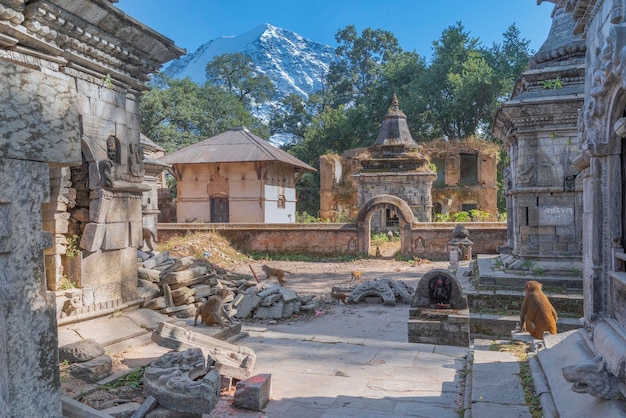 Pashupatinath to hinduski kompleks świątynny w Katmandu