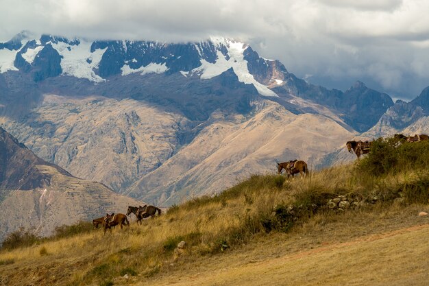 Pasmo Górskie Andów W Pobliżu Centrum Archeologicznego Mureny Urubamba Cuzco Peru