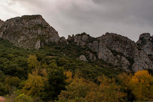 Pasmo górskie Picos de europa