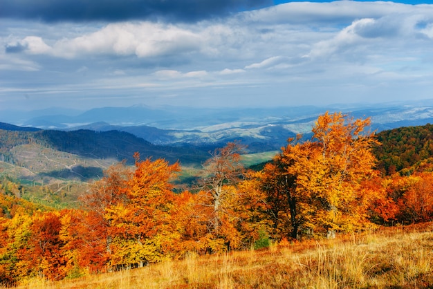 Pasmo górskie w Karpatach w sezonie jesiennym.