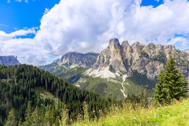 Pasmo górskie włoskich Dolomitów otoczone lasem. Trentino-Alto Adige, Włochy