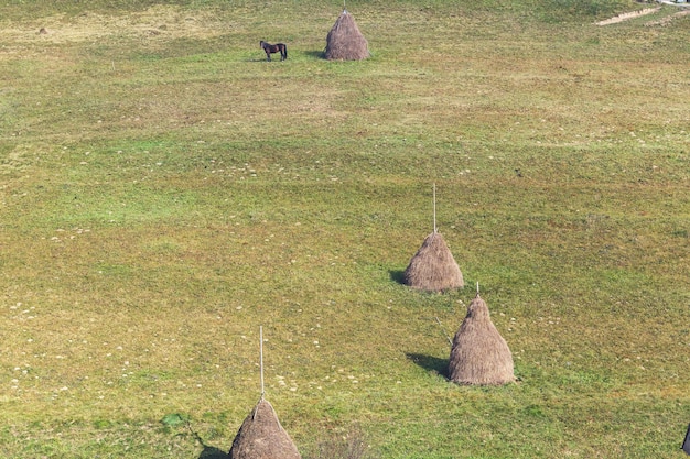 Pastwisko Krajobrazowe Ze Stogami Siana Pasącymi Się Na łące