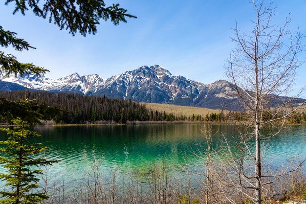 Patricia Lake Jasper National Park krajobraz Canadian Rockies natura sceneria tło AB Kanada