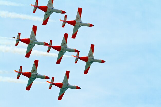 Patrulla Aguila