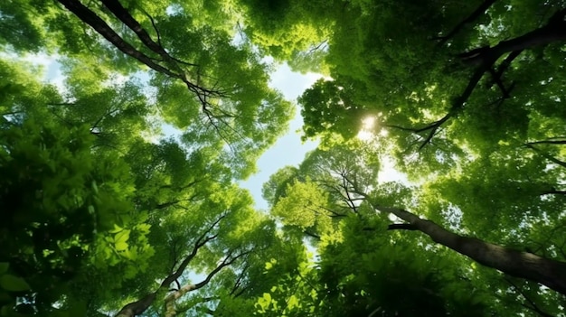 Patrząc w górę na zielone wierzchołki drzew Generacyjna sztuczna inteligencja