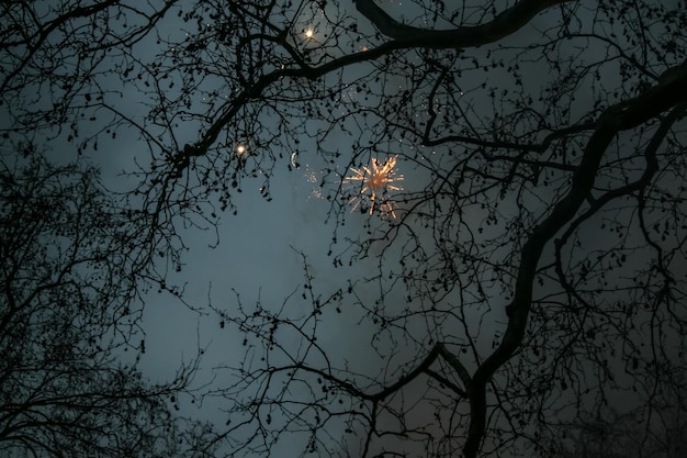 Patrząc w górę przez gałęzie drzew, widoczne tylko sylwetki, fajerwerki na ciemnym niebie