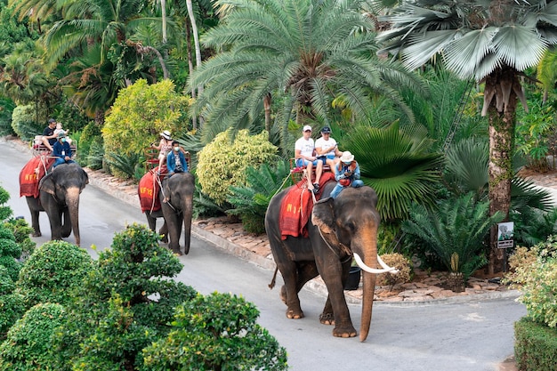 Pattaya Tajlandia 22 lutego 2023 Nong Nooch Tropical Garden turyści jadący na słoniach grupa turystów jadących na słoniach w Tajlandii