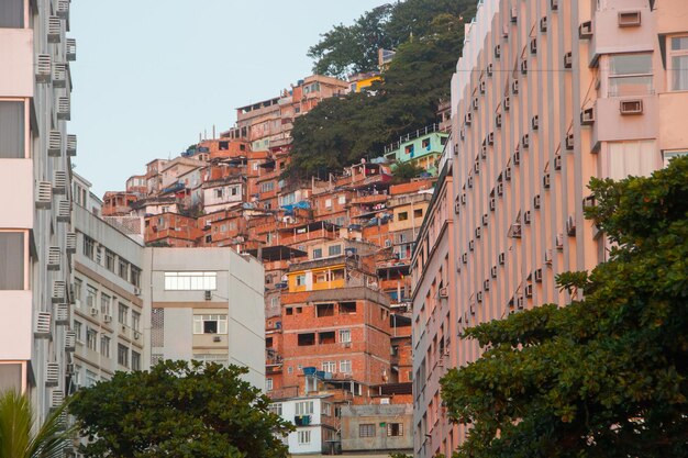 Paw Favela w copacabanie w Rio de Janeiro Brazylia