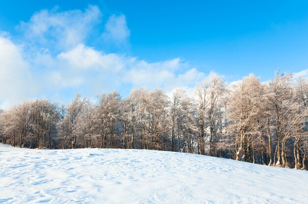 Październikowa krawędź górskiego lasu bukowego i pierwszy zimowy śnieg