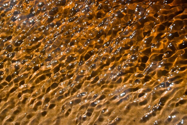 Peatcolored płytka woda rzeki blisko rzeki torfowej płytka czysta woda błyszcząca w jasny