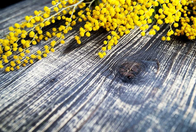 Zdjęcie pęczek mimozy, na rustykalne drewniane tła, widok z góry stołu
