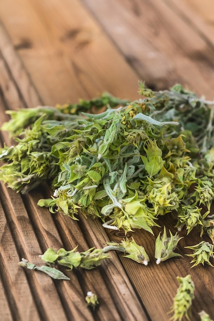 Pęczek suszonych zielonych gałązek żelazistości Sideritis, znany również jako tradycyjna herbata ziołowa w Grecji