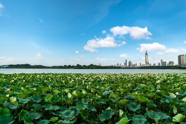 Pejzaż miejski nad jeziorem Xuanwu w Nanjing