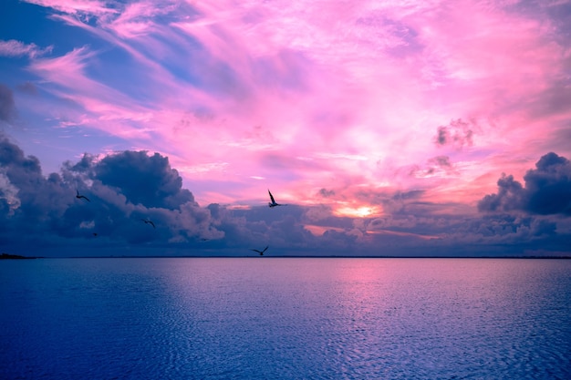 Pejzaż morski wczesnym rankiem Wschód słońca nad morzem Krajobraz przyrodniczy
