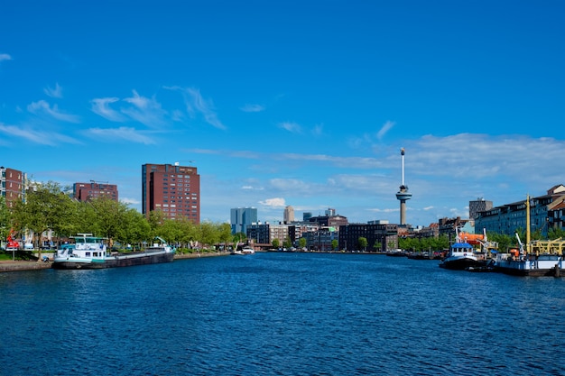 Pejzaż Rotterdamu Z Wieżą Widokową Euromast