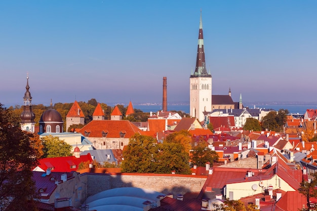 Pejzaż z lotu ptaka ze średniowiecznym Starym Miastem i kościołem św. Olafa Baptist w Tallinie w jesienny wieczór Estonia