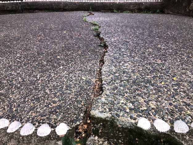 Pęknięcie w szarej betonowej powierzchni na drodze