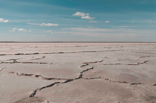 Pęknięta gleba w złożu kopalni soli La Pampa Argentina